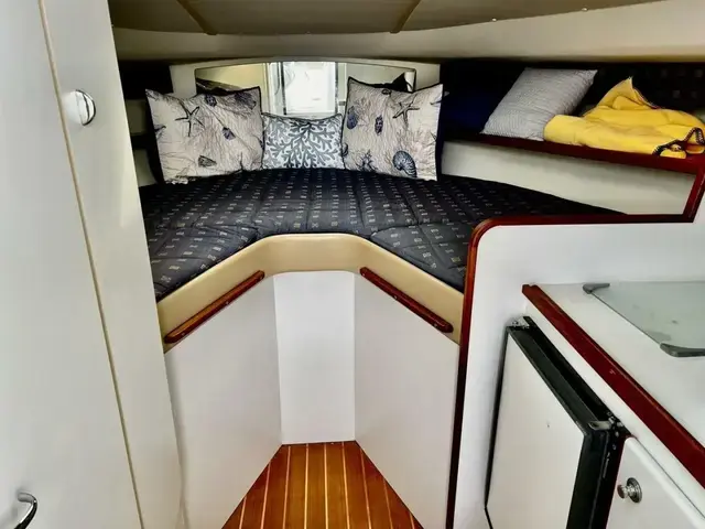 Tiara Yachts 31