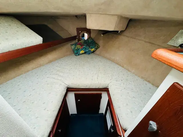 Bayliner 3288 Motoryacht