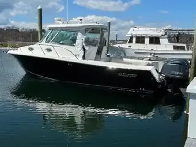 Sailfish 320 Express