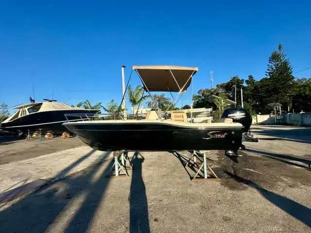 Scout 175 Sport Dorado