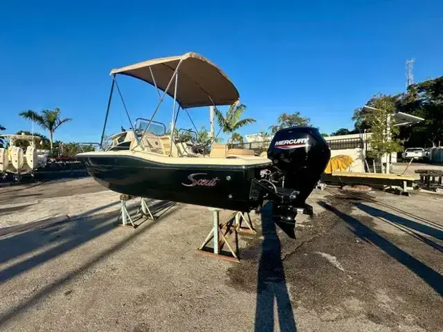 Scout 175 Sport Dorado