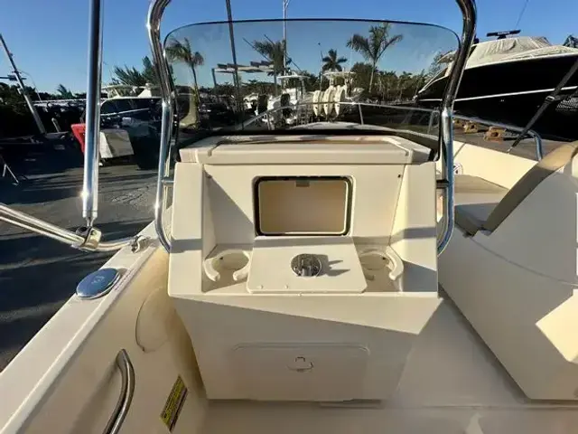 Scout 175 Sport Dorado