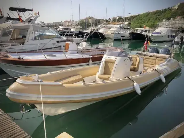 Cobra Nautique 9.7m