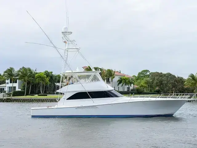 Viking 61