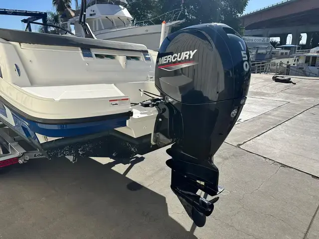 Bayliner Vr6