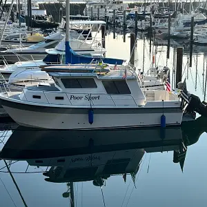 2019 Sea Sport Voyager 3000 Poor Sport