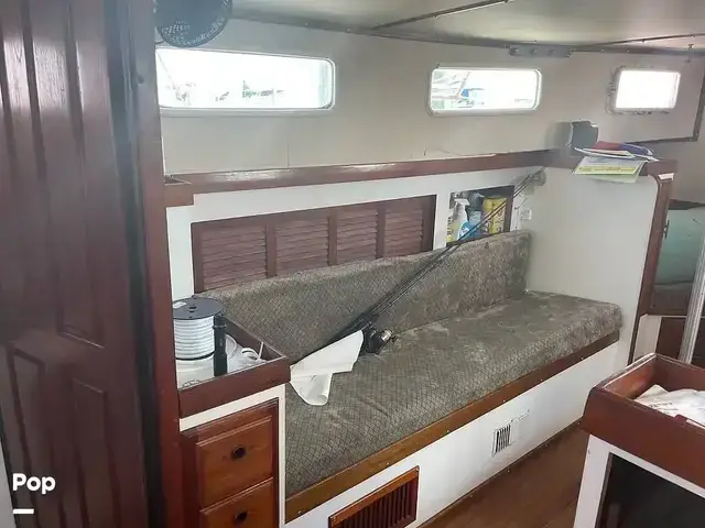 Fales Navigator 38