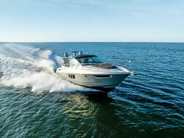 Cruisers 45 Cantius