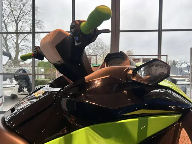 Kawasaki Stx 160x