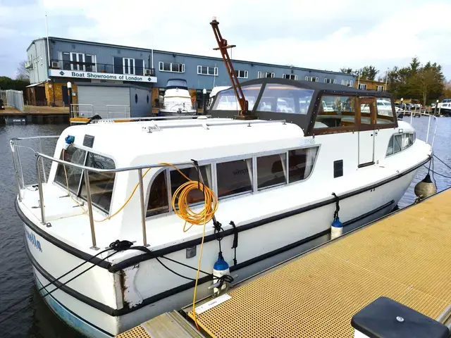 Broom Skipper 30