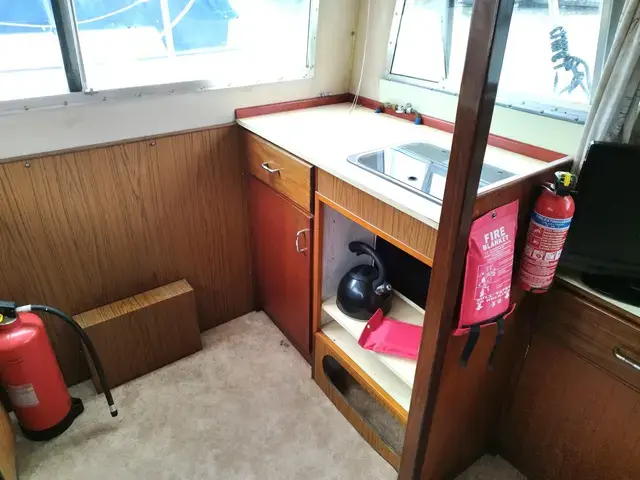 Broom Skipper 30