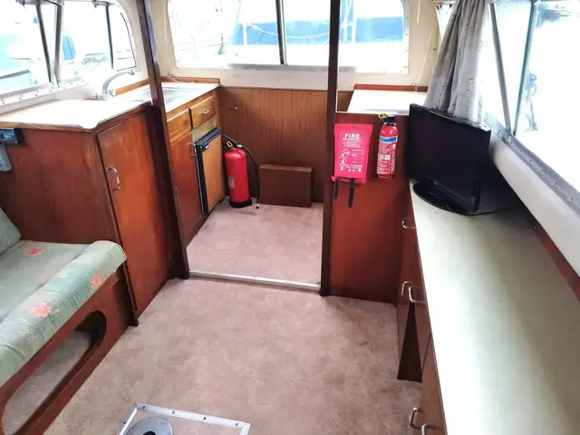 Broom Skipper 30