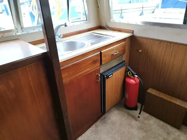 Broom Skipper 30