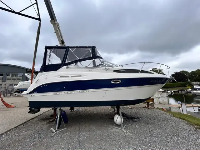 Bayliner 245