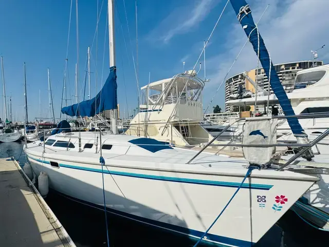 Catalina 320