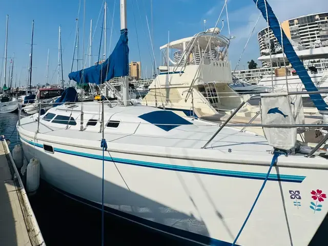 Catalina 320