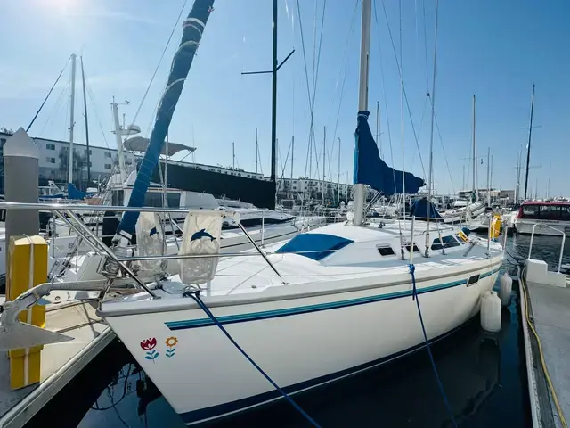 Catalina 320