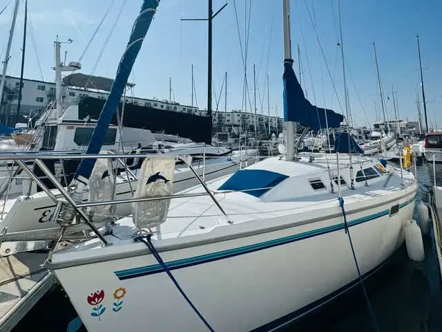 Catalina 320