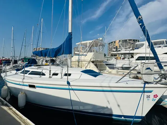 Catalina 320