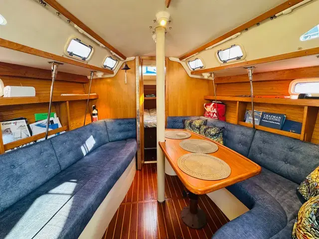 Catalina 320