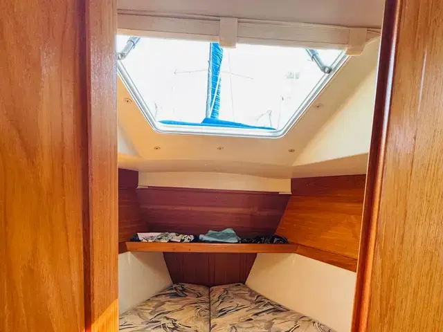 Catalina 320