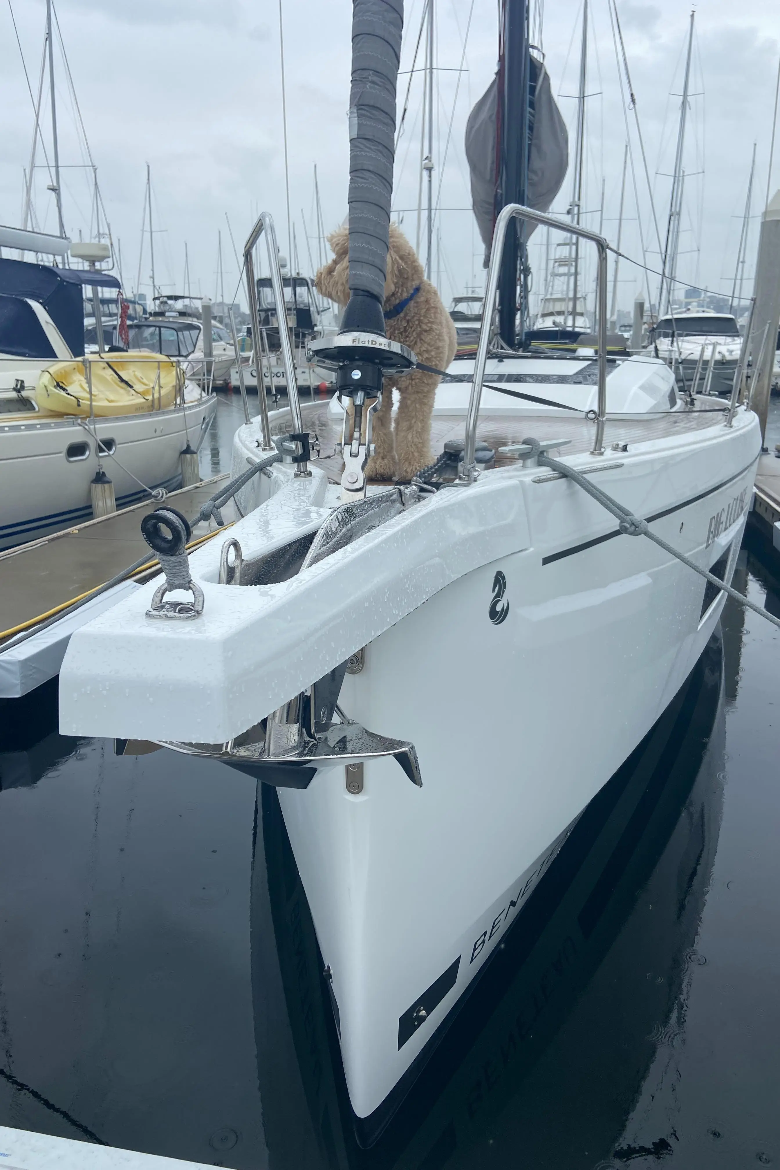 2022 Beneteau oceanis 46.1