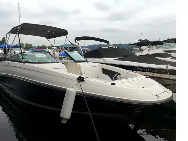 Sea Ray Sundeck 240