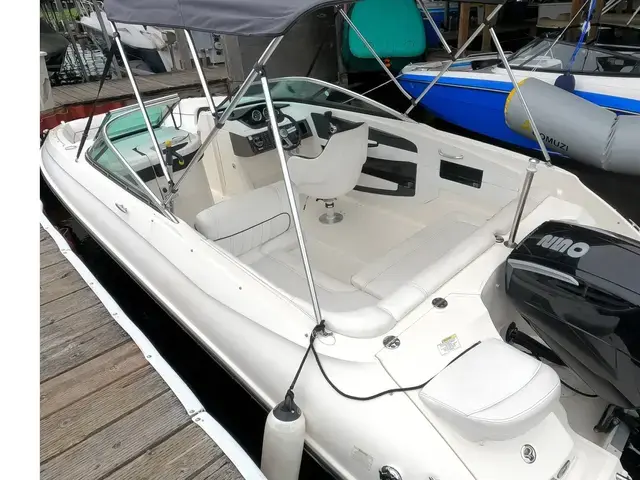 Sea Ray Sundeck 240