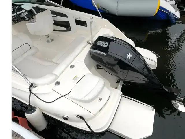 Sea Ray Sundeck 240