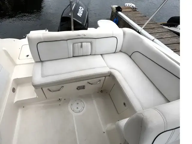 Sea Ray Sundeck 240