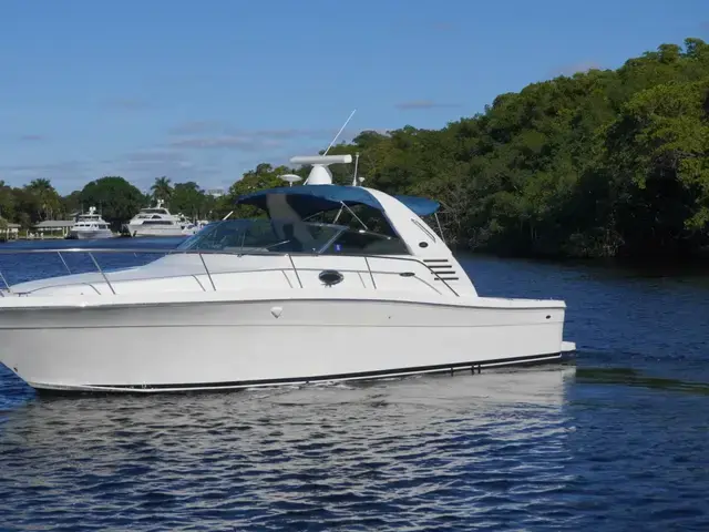 Sea Ray 340 Amberjack