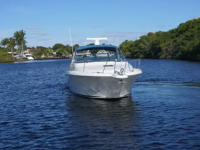 Sea Ray 340 Amberjack