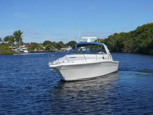 Sea Ray 340 Amberjack