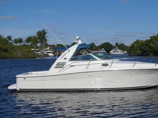 Sea Ray 340 Amberjack