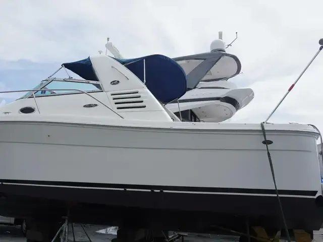 Sea Ray 340 Amberjack