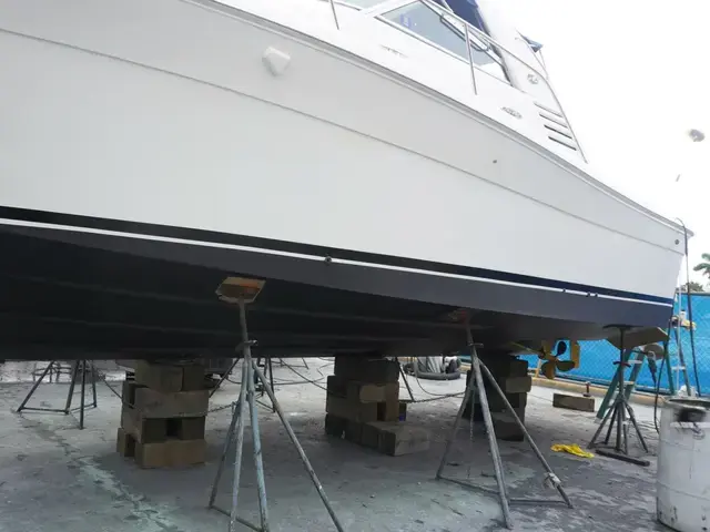 Sea Ray 340 Amberjack