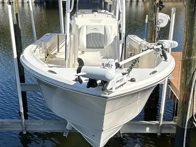 Cobia 240 Cc