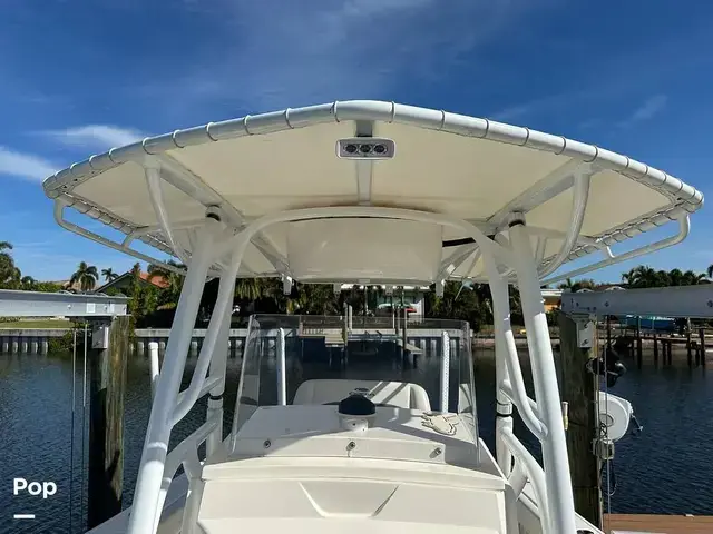 Cobia 240 Cc