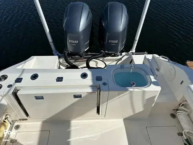 Cobia 240 Cc