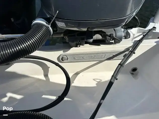 Cobia 240 Cc