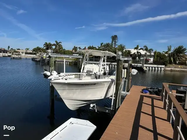 Cobia 240 Cc