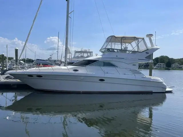 Sea Ray 400SB