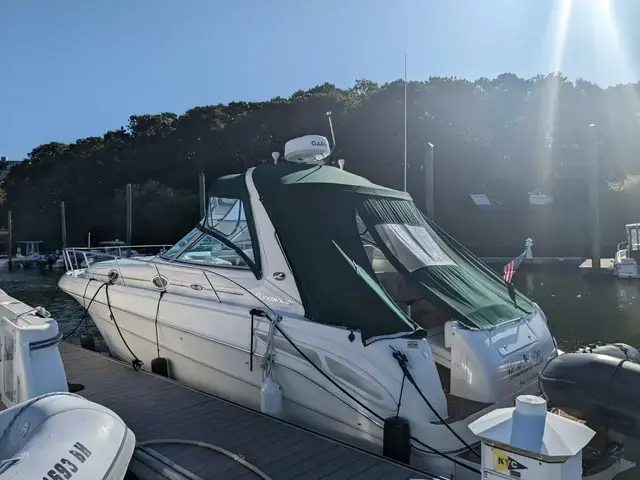 Sea Ray Sundancer 300