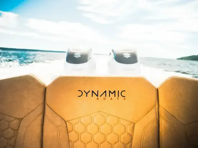 Dynamic 34