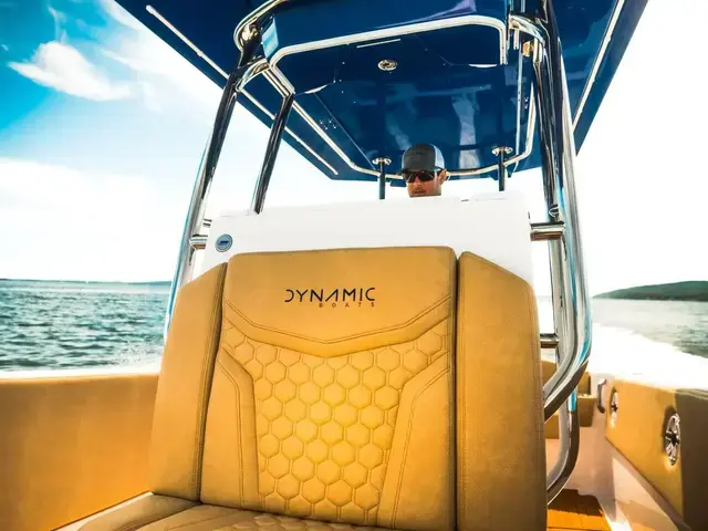 Dynamic 34