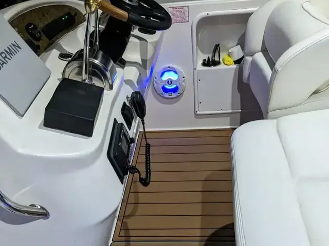 Sea Ray Sundancer 300