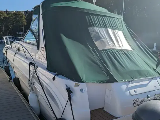 Sea Ray Sundancer 300