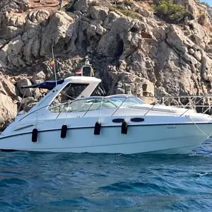 2006 Sealine S29