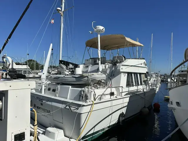 Mainship 43