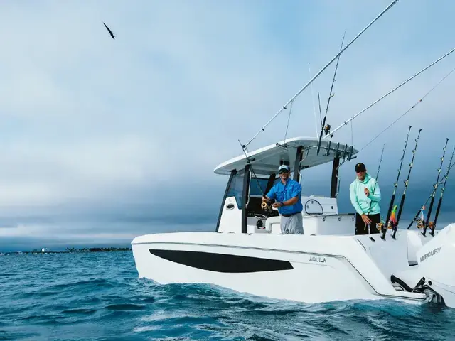 Aquila 28 Molokai